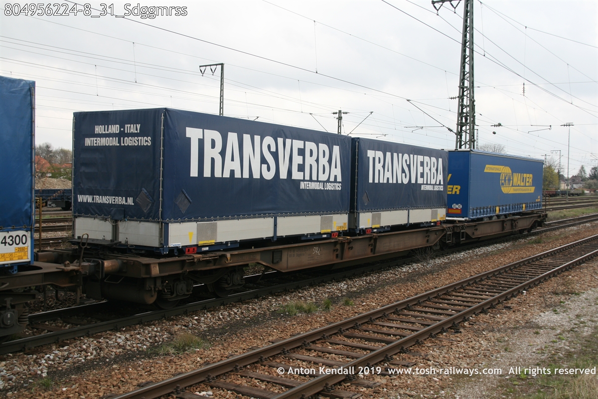 804956224-8_31_Sdggmrss.JPG